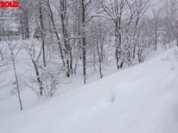 niseko